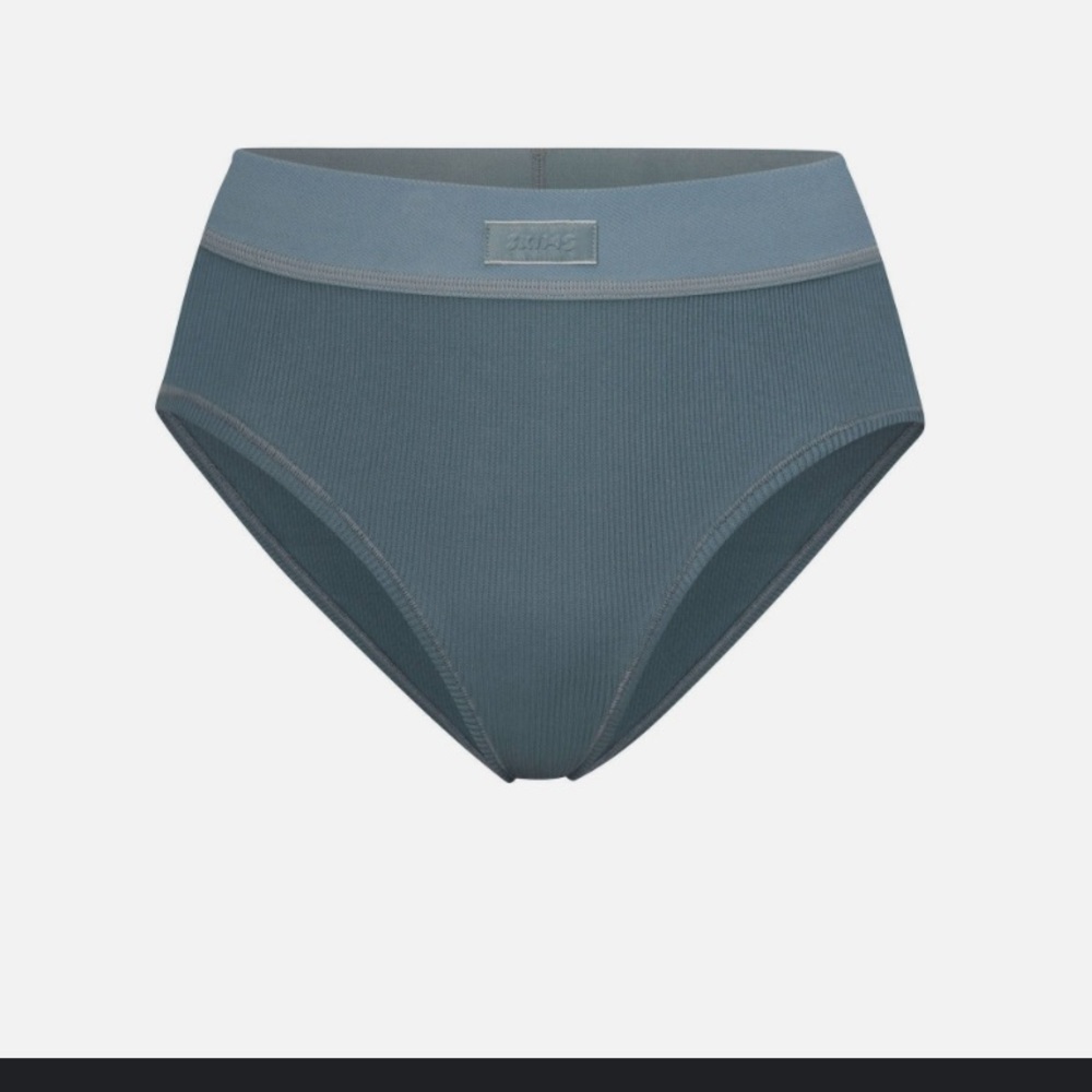 COTTON JERSEY BRIEF PANTY IN KYANITE MED NWT